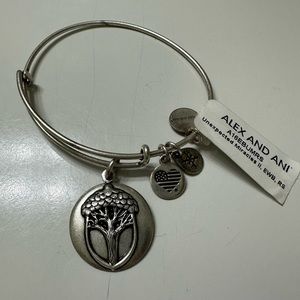 Unexpected miracles Alex & Ani bracelet